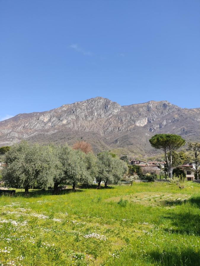 La Casa A Chiocciola Between Lake And Mountains Lierna Bagian luar foto